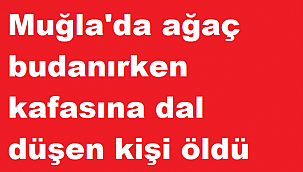 Muğla'da ağaç budanırken kafasına dal düşen kişi öldü
