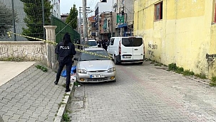 Park halindeki otomobilin yanında ölü bulundu