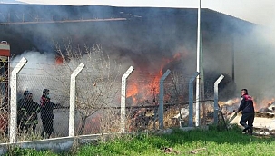 Silaj deposunda yangın çıktı, 300 ton kuru ot ve yem kül oldu