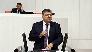 “Tek Bir Ağacın Kesilmesine Bile İzin Vermeyeceğiz”