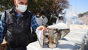 Bornova Belediyesi’nden tarımsal üretime tam destek