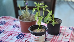 Bornova’da balkon keyfi bir başka güzel
