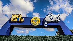 Buca’da engelli kedilere 5 yıldızlı hizmet