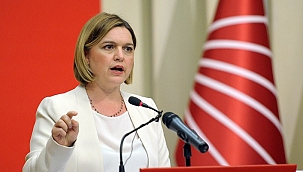 CHP'li Selin Sayek Böke, koronavirüse yakalandı