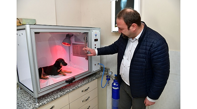 Çiğli Belediyesi’nden Hayvan Dostu Proje