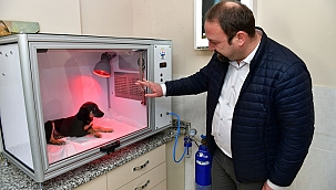 Çiğli Belediyesi’nden Hayvan Dostu Proje