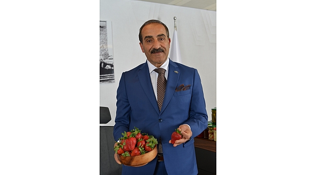 Çilek ihracatında yüzde 333’lük rekor artış