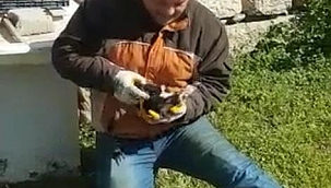 Çöpe atılan yavru kediler hayata geri döndü