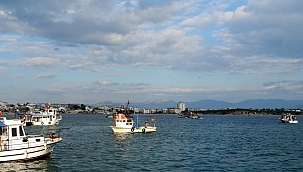 Didim'de deniz patlıcanı avcılığı sona erdi