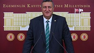 Gürer: “Tarımda sorunlar derinleşiyor”