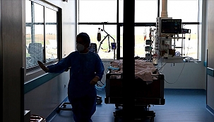 Son 24 saate 288 kişi hayatını kaybetti