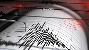 Van'da korkutan deprem!
