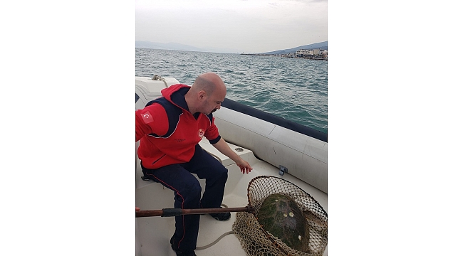 Yaralı Caretta caretta için İzmir İtfaiyesi zamanla yarıştı