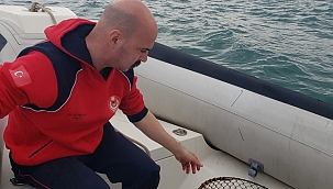 Yaralı Caretta caretta için İzmir İtfaiyesi zamanla yarıştı
