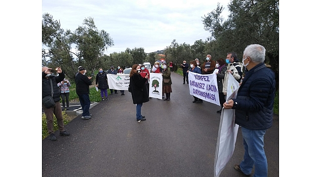 Zeytin Ağaçlarından Mektup Var