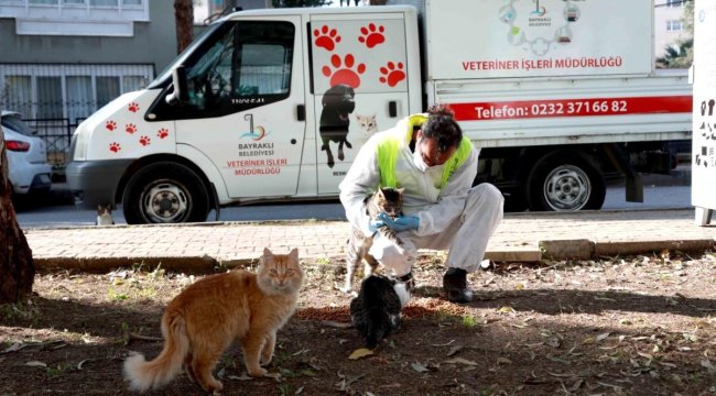 Bayraklı Belediyesi veterinerleri, her gün can dostları besliyor