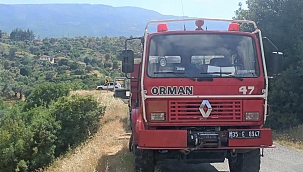 Beydağ'da çıkan yangında zeytin ağaçları zarar gördü