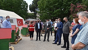 “Can Dostum Can Evim” Projesi ile 12 barınak okullara verildi