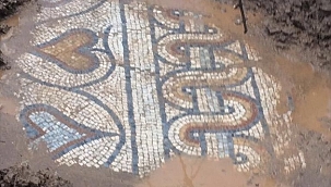 Definecilerin bulduğu Roma Dönemi mozaikleri koruma altına alındı