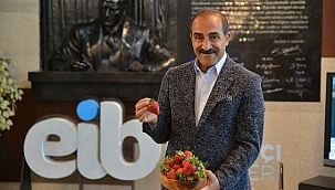 Kalıntısız çileğimiz ihracatta rekora koşuyor