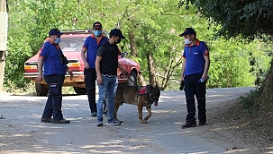 Kaybolan 16 yaşındaki kız çocuğu aranıyor