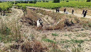 Manisa'da traktör sulama kanalına devrildi: 1 yaralı