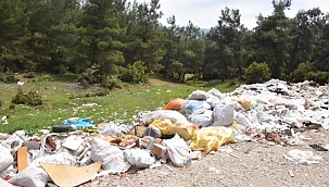 Oksijen deposu ormanlık alan çöplüğe döndü