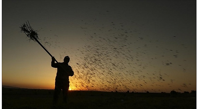 &quot;Tarım sektörü kesintisiz 10 çeyrektir büyüyor&quot;