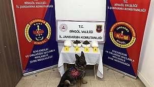 2,2 milyon TL'lik uyuşturucu ele geçirildi