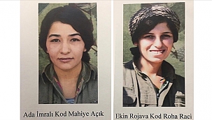2 PKK'lı terörist etkisiz hale getirildi