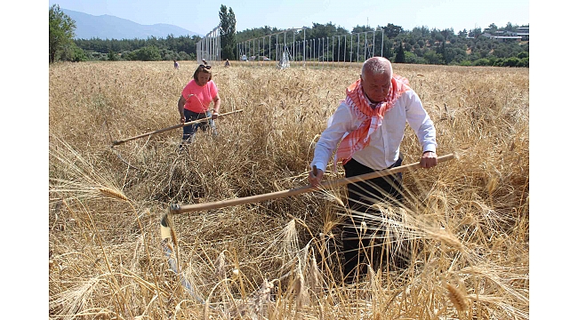 Atalık Karakılçık Kemalpaşa’da Can Buldu