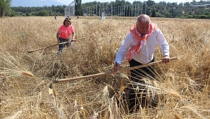 Atalık Karakılçık Kemalpaşa’da Can Buldu