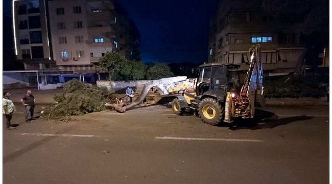 Bahçe duvarının altında kalan kadın hayatını kaybetti