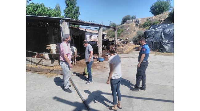 Bergama’da kurban kesim yerleri denetlendi