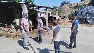 Bergama’da kurban kesim yerleri denetlendi
