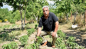 Bornovalı çiftçiye yerinde destek sürüyor