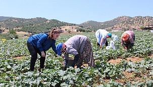 Büyükşehir'den Kiraz'daki kadınlara eğitim