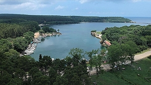 Denizle orman Sinop'un tabiat parklarında birleşiyor