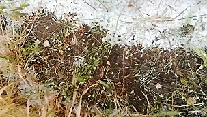 Dolu ekili ve dikili alanlara zarar verdi
