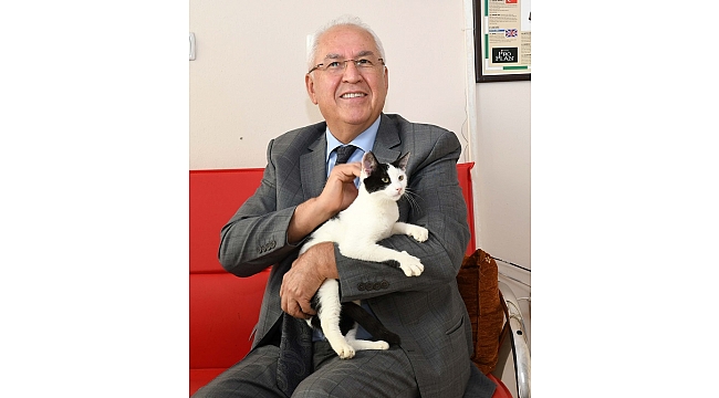 Karabağlar'da kısırlaştırmalar aralıksız sürüyor