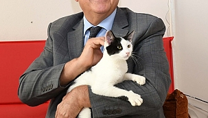 Karabağlar'da kısırlaştırmalar aralıksız sürüyor