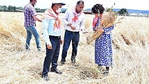 Karakılçık tohumunun ilk hasadı yapıldı