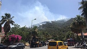 Marmaris'de orman yangını 1 şehit