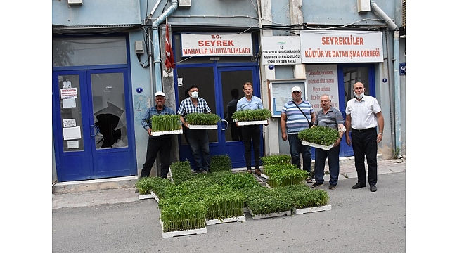 Menemen’de yerli tohumlar toprakla buluştu