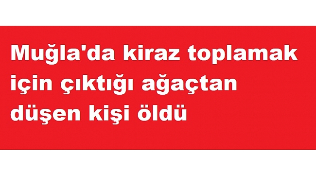 Muğla'da kiraz toplamak için çıktığı ağaçtan düşen kişi öldü