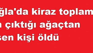 Muğla'da kiraz toplamak için çıktığı ağaçtan düşen kişi öldü