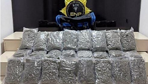 Sınırda TIR'da 12 kilo esrar ele geçirildi: 3 tutuklama