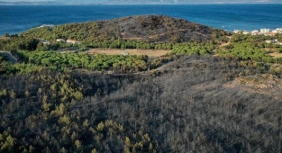 Balıkesir'de ormanlara giriş 3 ay yasaklandı