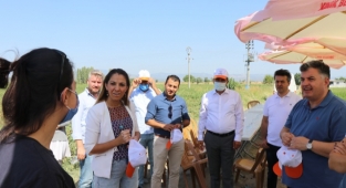 Bu hasatta iyilik var