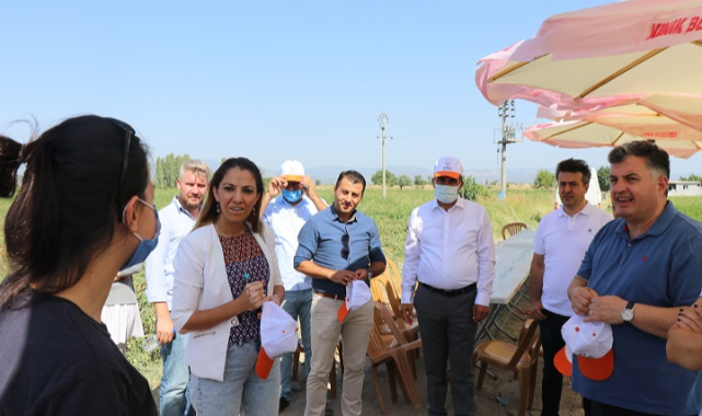 Bu hasatta iyilik var